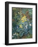 Still Life of Polyanthus and Butterfly-Mary Margetts-Framed Premium Giclee Print