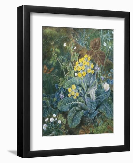 Still Life of Polyanthus and Butterfly-Mary Margetts-Framed Premium Giclee Print