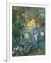 Still Life of Polyanthus and Butterfly-Mary Margetts-Framed Premium Giclee Print