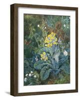 Still Life of Polyanthus and Butterfly-Mary Margetts-Framed Giclee Print