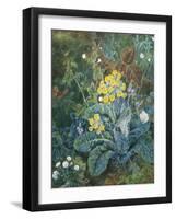 Still Life of Polyanthus and Butterfly-Mary Margetts-Framed Giclee Print
