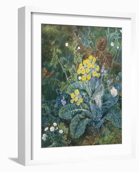 Still Life of Polyanthus and Butterfly-Mary Margetts-Framed Giclee Print