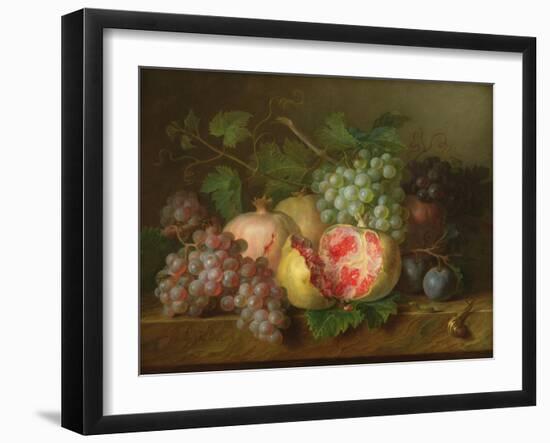 Still Life of Pomegranates, Grapes and Plums on a Marble Ledge (Panel)-Cornelis van Spaendonck-Framed Giclee Print