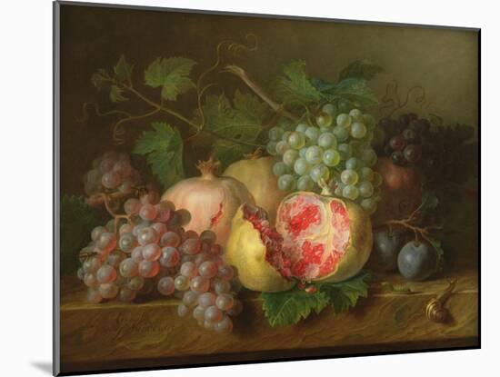 Still Life of Pomegranates, Grapes and Plums on a Marble Ledge (Panel)-Cornelis van Spaendonck-Mounted Giclee Print