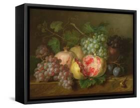 Still Life of Pomegranates, Grapes and Plums on a Marble Ledge (Panel)-Cornelis van Spaendonck-Framed Stretched Canvas