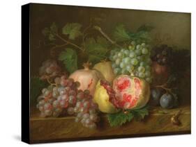 Still Life of Pomegranates, Grapes and Plums on a Marble Ledge (Panel)-Cornelis van Spaendonck-Stretched Canvas