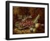 Still Life of Raspberries, Gooseberries, Peach and Plums on a Mossy Bank-Oliver Clare-Framed Giclee Print