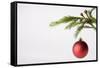 Still Life of Red Bauble Hanging on Christmas Tree-null-Framed Stretched Canvas