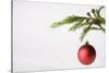 Still Life of Red Bauble Hanging on Christmas Tree-null-Stretched Canvas