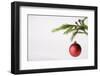 Still Life of Red Bauble Hanging on Christmas Tree-null-Framed Photographic Print