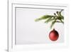 Still Life of Red Bauble Hanging on Christmas Tree-null-Framed Photographic Print