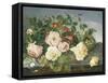 Still Life of Roses and Morning Glory-Eloise Harriet Stannard-Framed Stretched Canvas