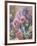 Still Life of Roses-Mary Margetts-Framed Giclee Print