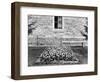 Still Life of Tulip Garden, Ca. 1905-null-Framed Photographic Print