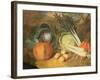 Still Life of Vegetables-Leopoldo Metlicovitz-Framed Giclee Print