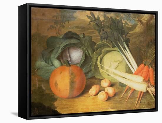 Still Life of Vegetables-Leopoldo Metlicovitz-Framed Stretched Canvas