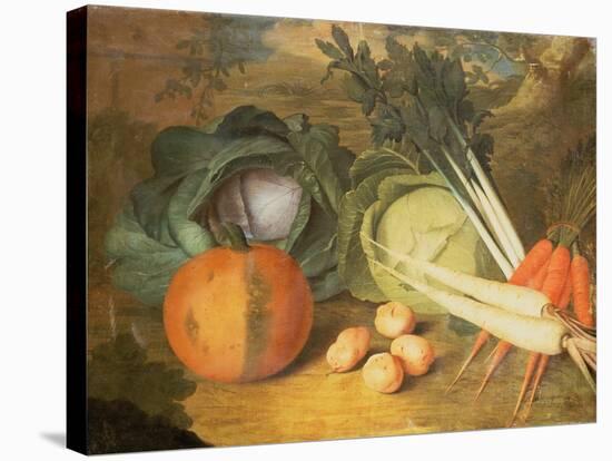 Still Life of Vegetables-Leopoldo Metlicovitz-Stretched Canvas