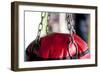 Still Life of Workout Equipment-Matt Freedman-Framed Photographic Print