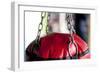 Still Life of Workout Equipment-Matt Freedman-Framed Photographic Print