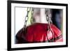 Still Life of Workout Equipment-Matt Freedman-Framed Photographic Print