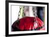 Still Life of Workout Equipment-Matt Freedman-Framed Photographic Print