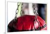 Still Life of Workout Equipment-Matt Freedman-Framed Photographic Print