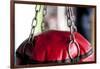 Still Life of Workout Equipment-Matt Freedman-Framed Photographic Print