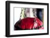 Still Life of Workout Equipment-Matt Freedman-Framed Photographic Print