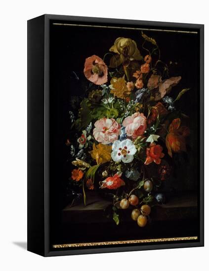 Still Life (Oil on Canvas, 1703)-Rachel Ruysch-Framed Stretched Canvas