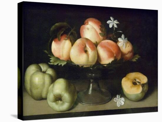 Still Life Peaches Apples and Flowers-Fede Gallzia-Stretched Canvas