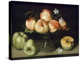 Still Life Peaches Apples and Flowers-Fede Gallzia-Stretched Canvas