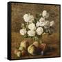 Still Life: Roses and Fruits-Henri Fantin-Latour-Framed Stretched Canvas