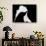 Still Life Shot of Pierced Calla Lily Flower-null-Photographic Print displayed on a wall