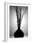 Still Life Silhouette I-Monika Burkhart-Framed Photographic Print