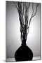 Still Life Silhouette I-Monika Burkhart-Mounted Photographic Print