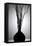 Still Life Silhouette I-Monika Burkhart-Framed Stretched Canvas