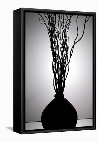 Still Life Silhouette I-Monika Burkhart-Framed Stretched Canvas