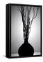 Still Life Silhouette I-Monika Burkhart-Framed Stretched Canvas