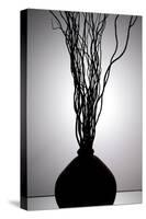 Still Life Silhouette I-Monika Burkhart-Stretched Canvas