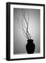 Still Life Silhouette II-Monika Burkhart-Framed Photographic Print