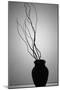 Still Life Silhouette II-Monika Burkhart-Mounted Photographic Print