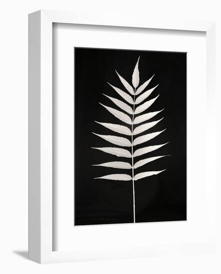 Still Life, Study #1-Andrew Ren-Framed Art Print