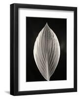 Still Life, Study #3-Andrew Ren-Framed Art Print