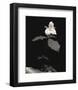 Still Life, Study #4-Andrew Ren-Framed Art Print