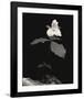 Still Life, Study #4-Andrew Ren-Framed Art Print