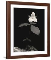 Still Life, Study #4-Andrew Ren-Framed Art Print