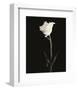 Still Life, Study #5-Andrew Ren-Framed Art Print