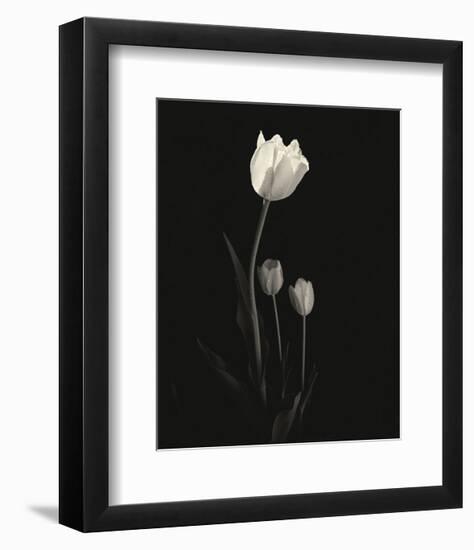 Still Life, Study #6-Andrew Ren-Framed Art Print