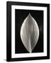 Still Life, Study, no. 3-Andrew Ren-Framed Giclee Print