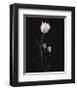 Still Life, Study, no. 6-Andrew Ren-Framed Giclee Print